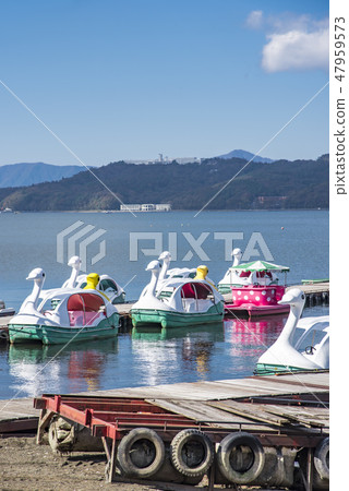 [Lake Yamanaka Swan Boat] 47959573