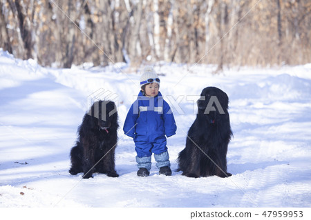 男孩和狗一起玩 47959953