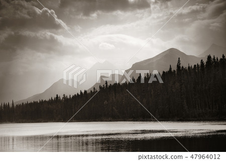 Lake Herbert 47964012