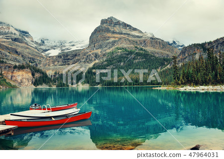Yoho National Park 47964031