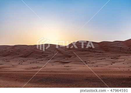 Dawn of the Wahhiba Desert (Oman, Wahiba Sands) 47964591