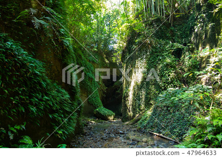 洞穴以外的實達縣的世界 洞穴以外的實達縣的世界 47964633