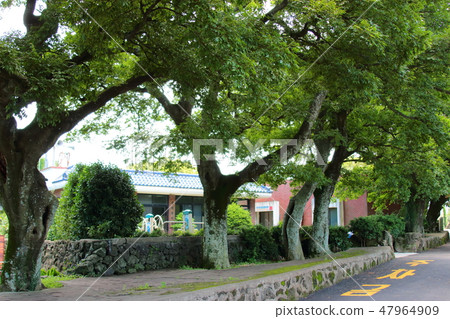 鄉村景觀，村莊，農村， 47964909