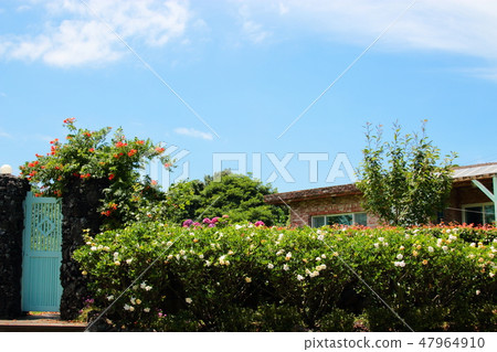 鄉村景觀,村莊,農村, 鄉村景觀,村莊,農村, 47964910