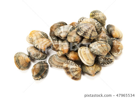 Asari Asari 47965534