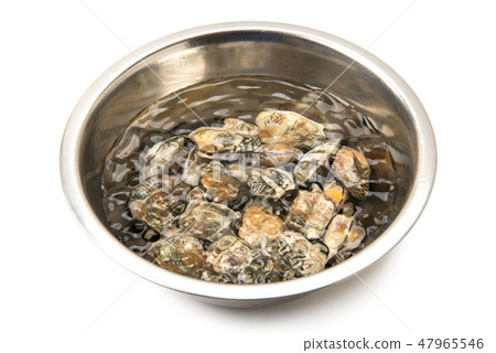 Asari Asari 47965546