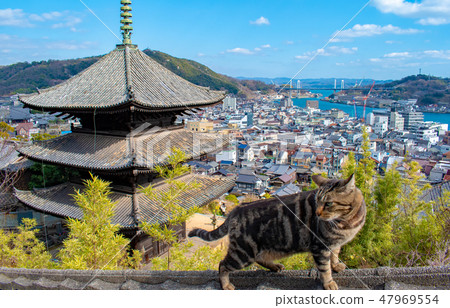 Onomichi三塔和貓的Tenenji寺廟 Onomichi三塔和貓的Tenenji寺廟 47969554