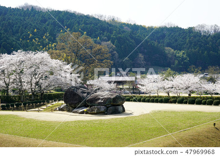 Asuka Stone Stage Kofuku Sakura Asuka Stone Stage Kofuku Sakura 47969968