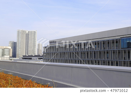 Toyosu Market Fishery's Wholesale Distribution Center Rooftop Greenery Plaza Toyosu Market Fishery's Wholesale Distribution Center Rooftop Greenery Plaza 47971012