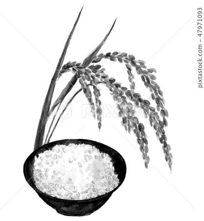 Inaho and cooked rice ink ink painting monotone 47971093