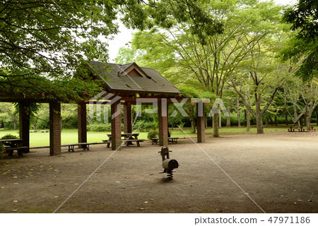 Nanatsu dong park 2017-8-6＃61 47971186