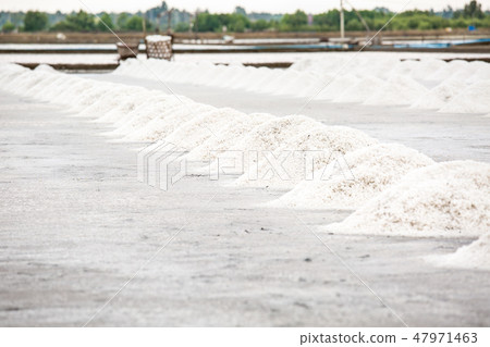 Heap of sea salt in a field prepared for harvest. 47971463