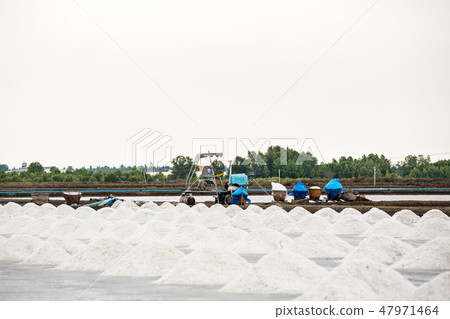 Heap of sea salt in a field prepared for harvest. Heap of sea salt in a field prepared for harvest. 47971464