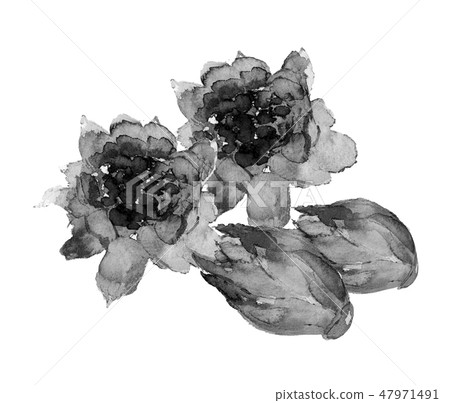 Bamboo flower ink ink painting monotone 47971491