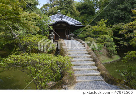 Katsura Ikebukuro forest Katsura Ikebukuro forest 47971500
