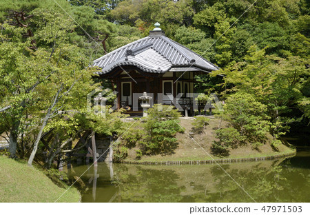 Katsura Ikebukuro森林 47971503