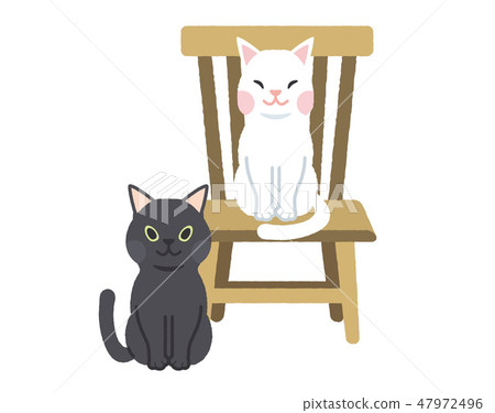貓設置 47972496