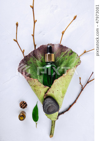 Herbal extract, essential oil, serum in a vial on a green leaf. The concept of natural cosmetics Herbal extract, essential oil, serum in a vial on a green leaf. The concept of natural cosmetics 47973081