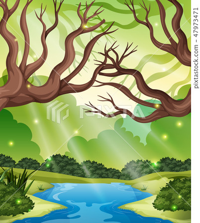 A nature forest landscape A nature forest landscape 47973471