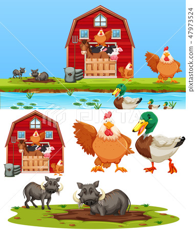 Set of farm element Set of farm element 47973524