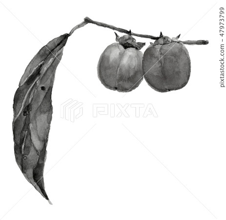 Oyster Saijo persimmon ink painting monotone 47973799