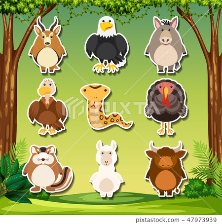 Set of wild animals sticker Set of wild animals sticker 47973939