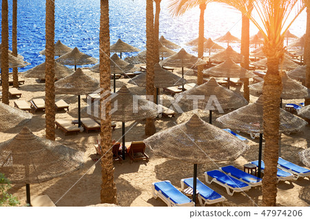 Summer chaise lounges under an umbrella on sandy sea beach in hotel Egypt, Sharm el Sheikh, concept 47974206