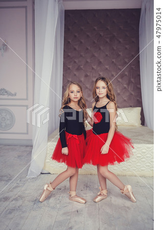 cute two ballerina sisters cute two ballerina sisters 47975014