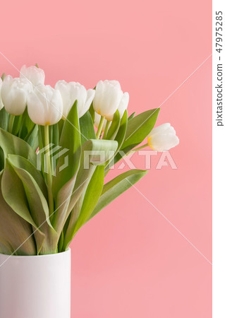Bouquet of white tulip in vase on millennial pink. 47975285