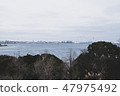Pier landscape 47975492