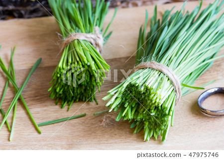 Freshly harvested wheatgrass on a wooden table 47975746