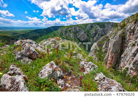 Turda gorge Cheile Turzii is a natural reserve Turda gorge Cheile Turzii is a natural reserve 47976026