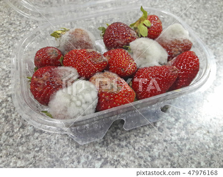 Strawberries with mold fungus in the packaging box 47976168