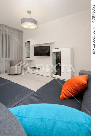 Modern white and gray living room interior Modern white and gray living room interior 47976352