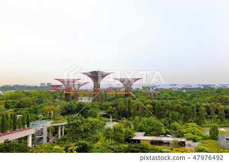 從酒店濱海灣花園景觀 47976492