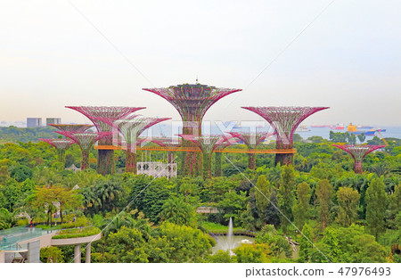 從酒店濱海灣花園景觀 從酒店濱海灣花園景觀 47976493