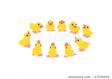 vector cartoon animal clip art 47976849