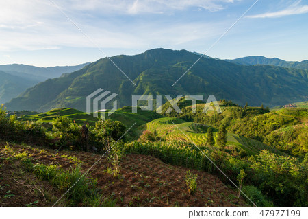 Longsheng rice terraces landscape in China Longsheng rice terraces landscape in China 47977199