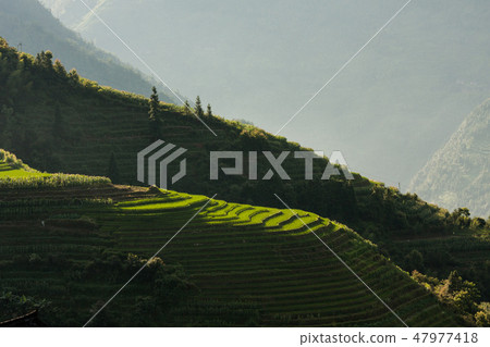 Longsheng rice terraces landscape in China Longsheng rice terraces landscape in China 47977418