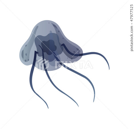 Jellyfish, Beautiful Grey Swimming Marine Underwater Creature Vector Illustration Jellyfish, Beautiful Grey Swimming Marine Underwater Creature Vector Illustration 47977525