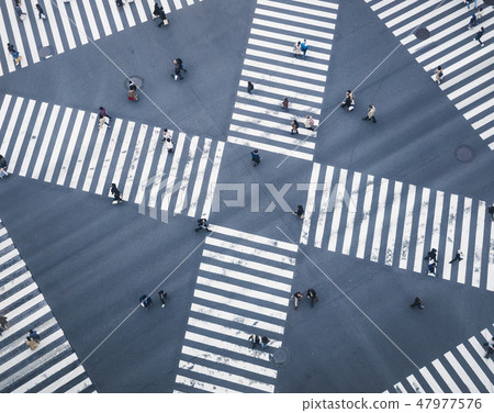 People walking Japan city street crosswalk People walking Japan city street crosswalk 47977576