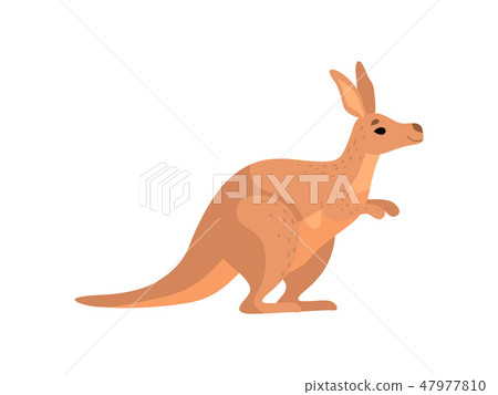 Brown Kangaroo, Cute Wallaby Australian Animal Character, Side View Vector Illustration 47977810