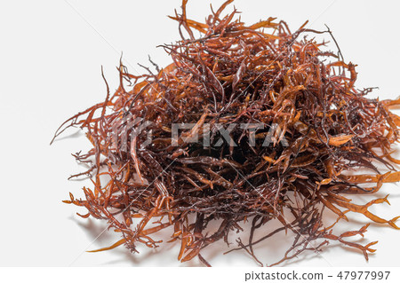 Funori Funori 47977997