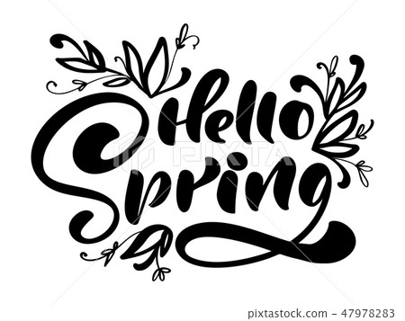 Calligraphy lettering phrase Hello Spring. Vector Hand Drawn Isolated text. sketch doodle design for 47978283