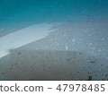 Frozen front window 47978485
