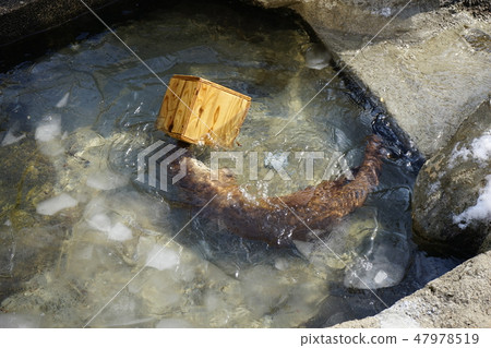 Winter animal park Otter corner 47978519