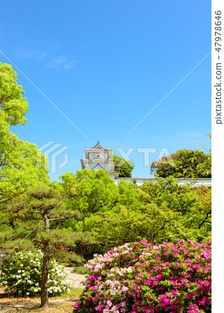 明石公園的風景 明石公園的風景 47978646
