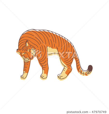 Kids drawing of large tiger. Predatory cat with orange striped coat. Wild animal. Hand drawn vector Kids drawing of large tiger. Predatory cat with orange striped coat. Wild animal. Hand drawn vector 47978749