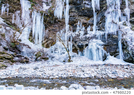 [Saitama Prefecture] Icicle 47980220