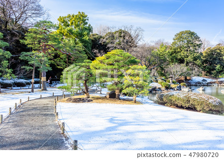 東京Rinkuen在冬天 47980720